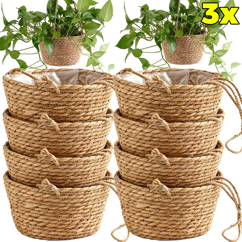 Spider Plant Hanging - 1/3x Rope Hanging Planter Basket Garden