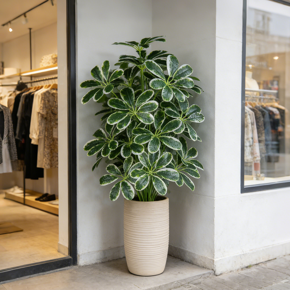 Dracaena Marginata - 50-75cm Artifficial Maranta Plants Large Fake