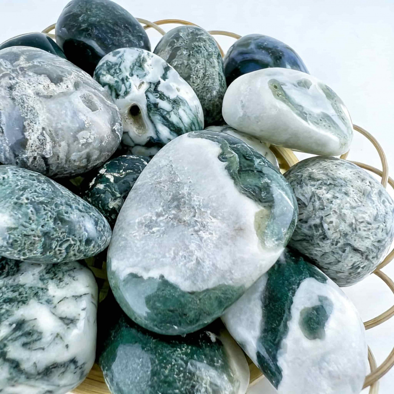Natural Moss Agate Crushed Sto - Echeveria Succulent avis et prix
