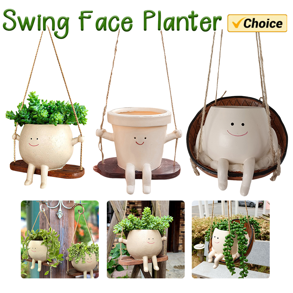 Plant Hanger Baskets Lovely Sw - Echeveria Succulent avis et prix