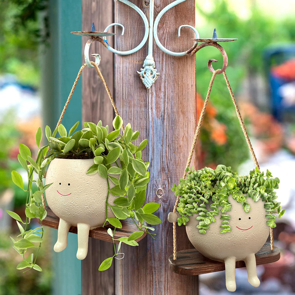 Plant Hanger Baskets Lovely Sw - Echeveria Succulent avis et prix