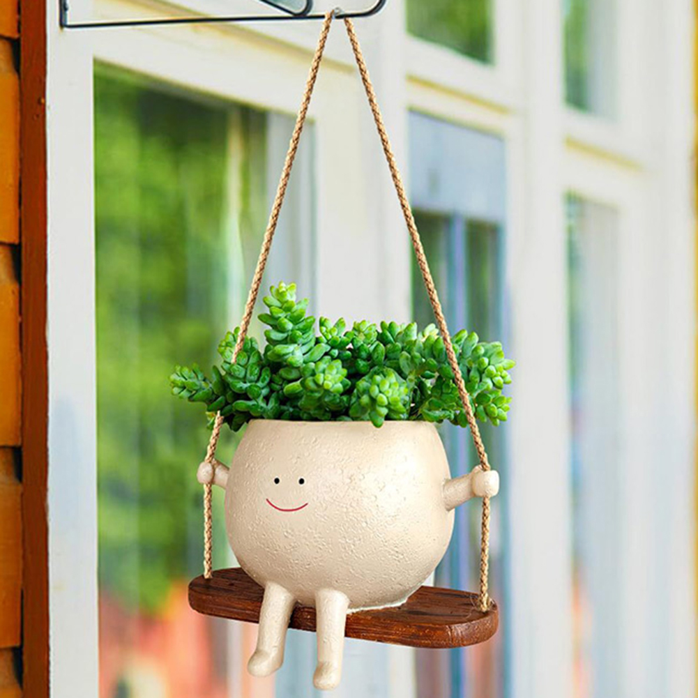 Plant Hanger Baskets Lovely Sw - Echeveria Succulent avis et prix