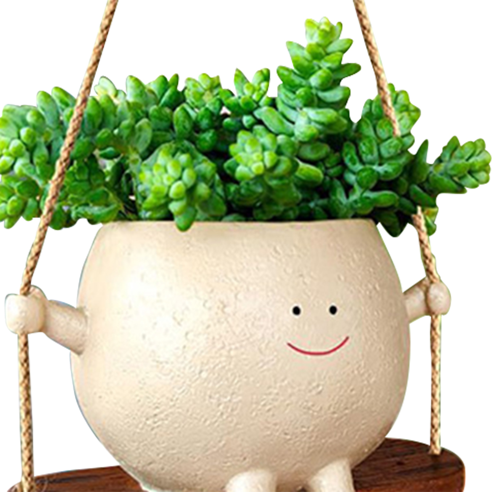 Plant Hanger Baskets Lovely Sw - Echeveria Succulent avis et prix