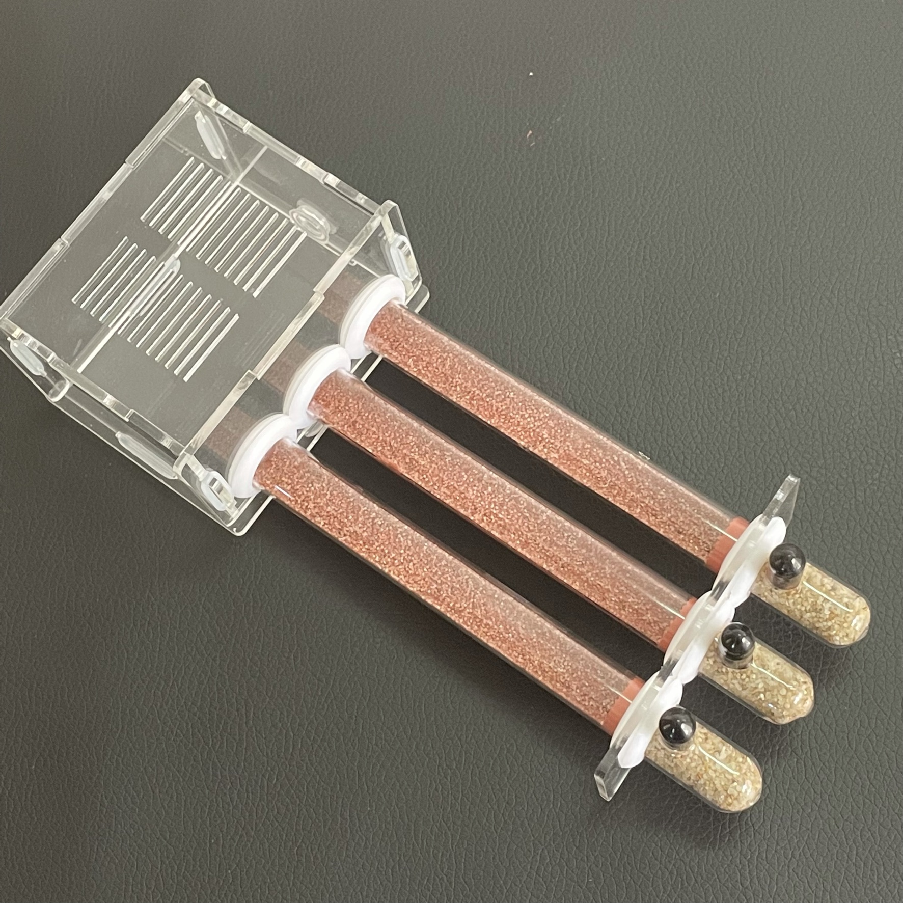 15-150mm Gypsum Test Tube Nest - Begonia Rex avis et prix