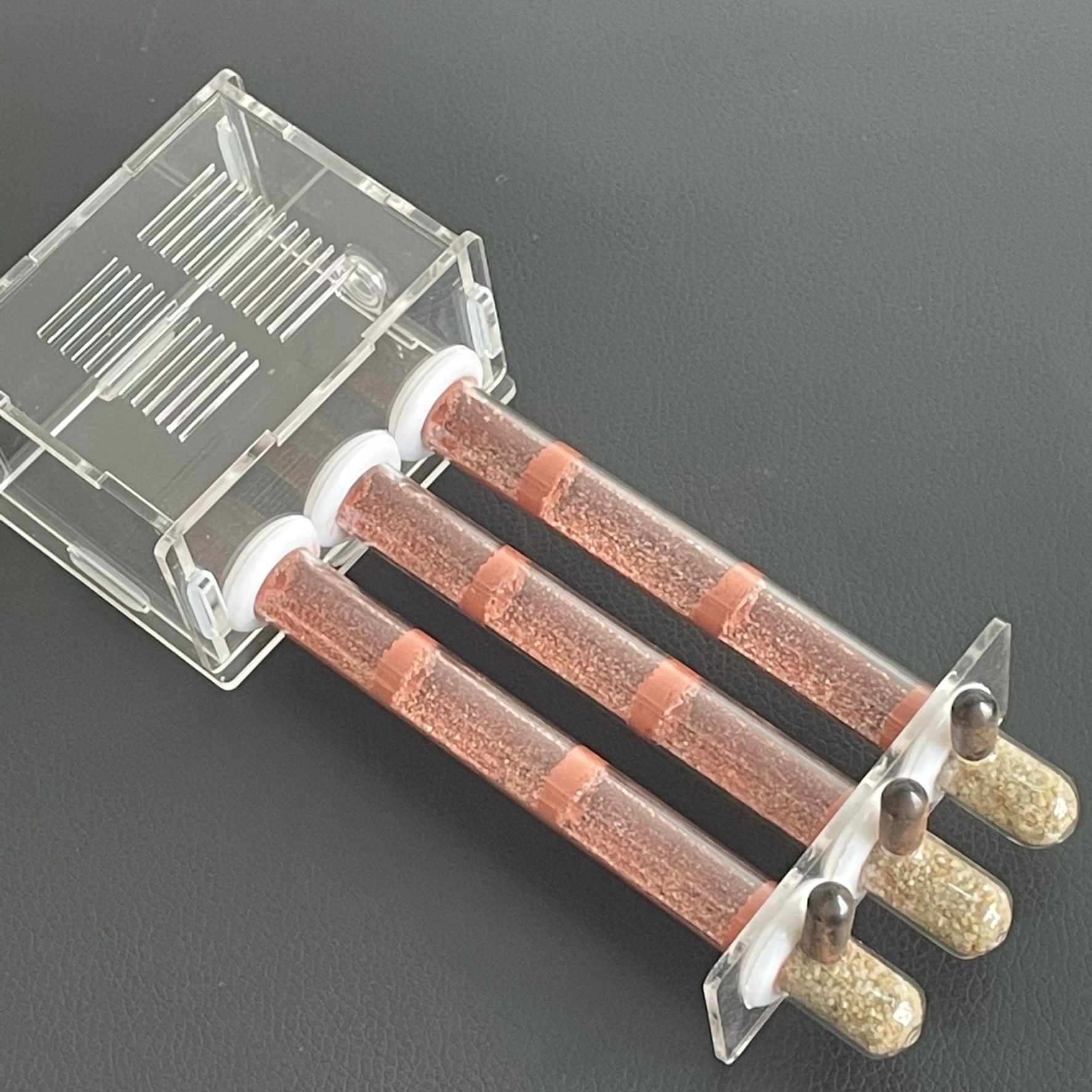 15-150mm Gypsum Test Tube Nest - Begonia Rex avis et prix