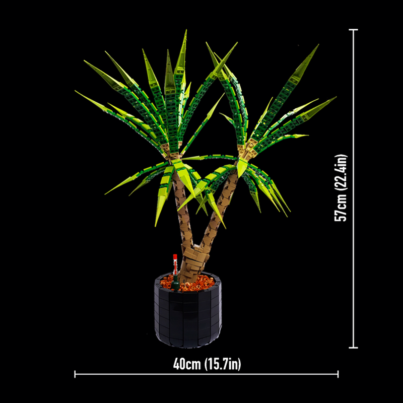 1961PCS MOC Medieval Castle Dr - Dracaena Marginata avis et prix