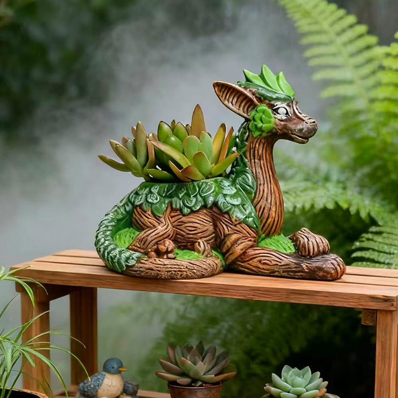Creative Dragon Tree Flower Po - Echeveria Succulent avis et prix