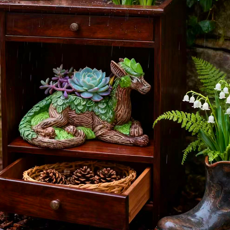 Creative Dragon Tree Flower Po - Echeveria Succulent avis et prix