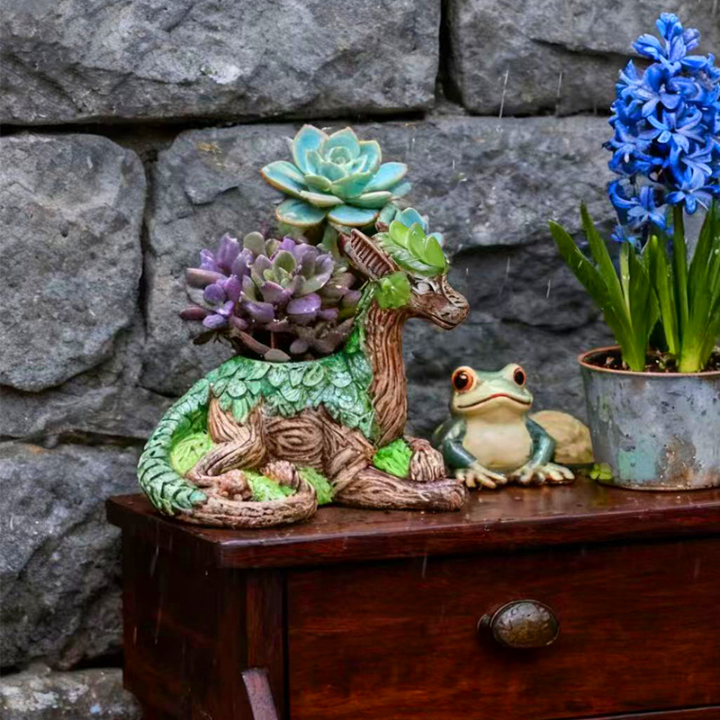 Creative Dragon Tree Flower Po - Echeveria Succulent avis et prix