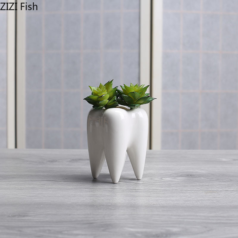 Tooth Shaped Ceramic Flower Po - Echeveria Succulent avis et prix