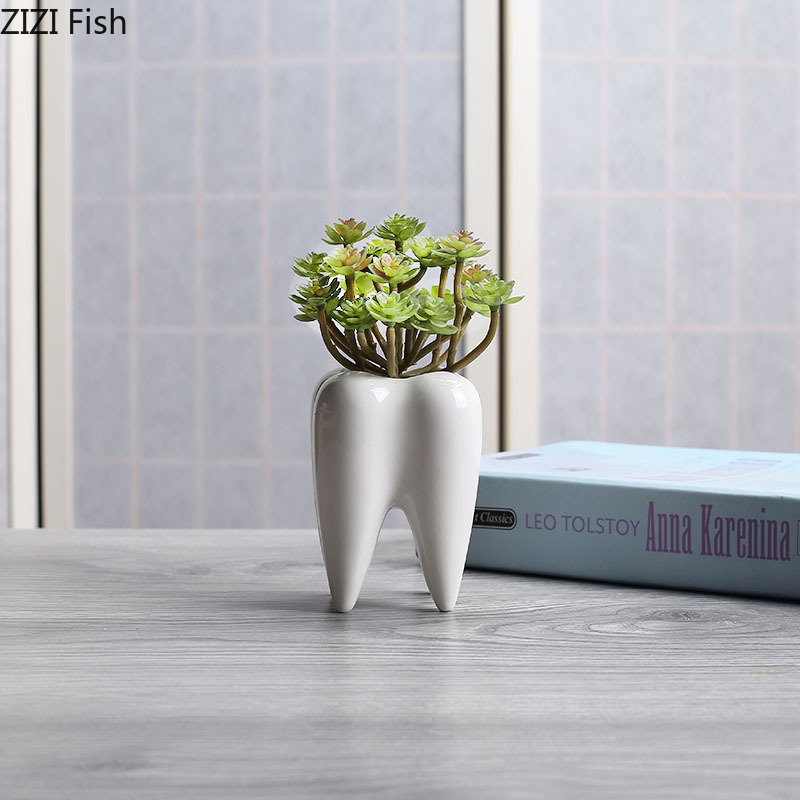 Tooth Shaped Ceramic Flower Po - Echeveria Succulent avis et prix
