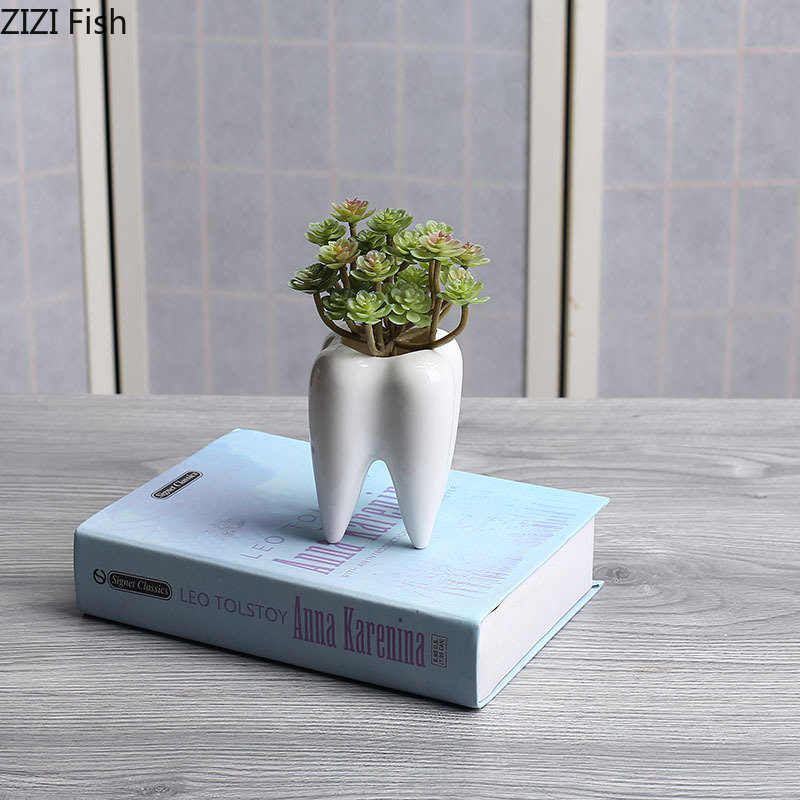 Tooth Shaped Ceramic Flower Po - Echeveria Succulent avis et prix