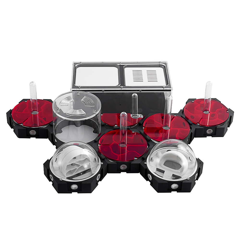 3D Printing Ant Farm Infinitel - Begonia Rex avis et prix