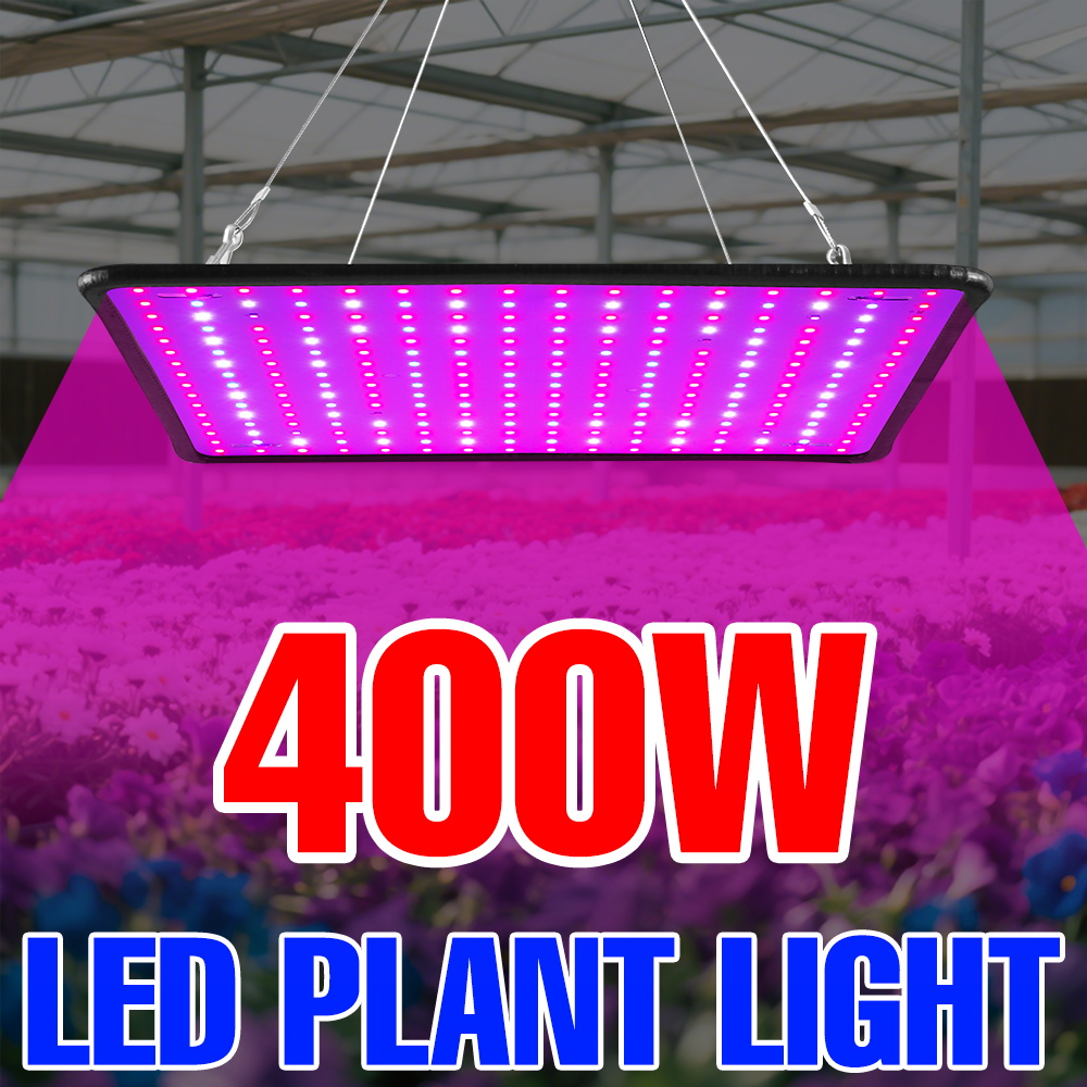 400W LED Grow Light Full Spect - Echeveria Succulent avis et prix