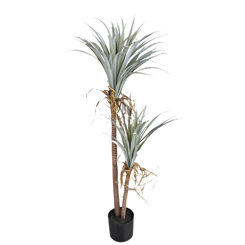 Dragon Blood Yucca Artificial  - Dracaena Marginata avis et prix