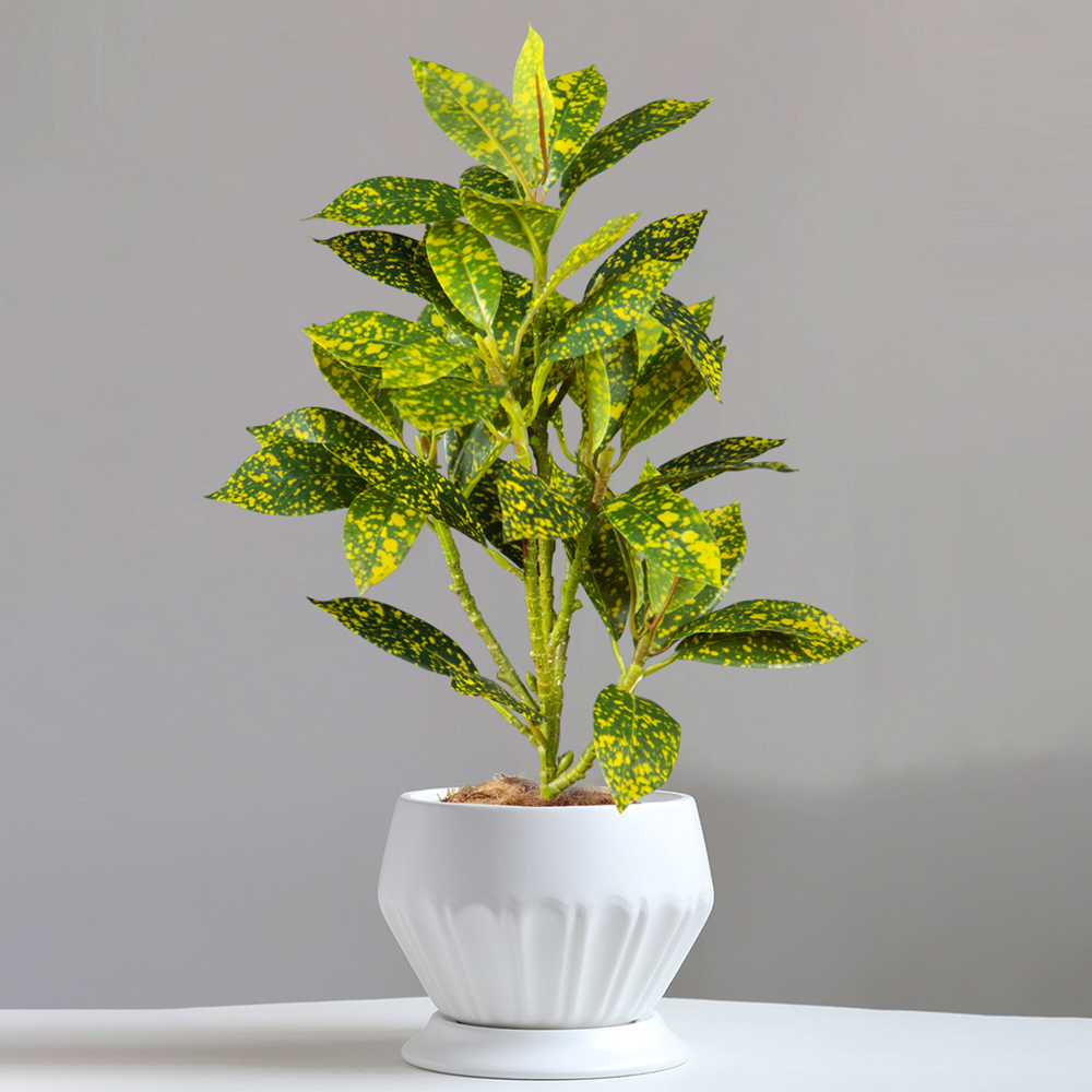 24-41cm Artificial Ficus Tree  - Ficus Lyrata Tree avis et prix