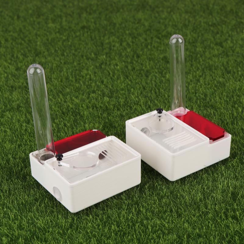 【Peace】3D Printed Ant Farm Que - Begonia Rex avis et prix