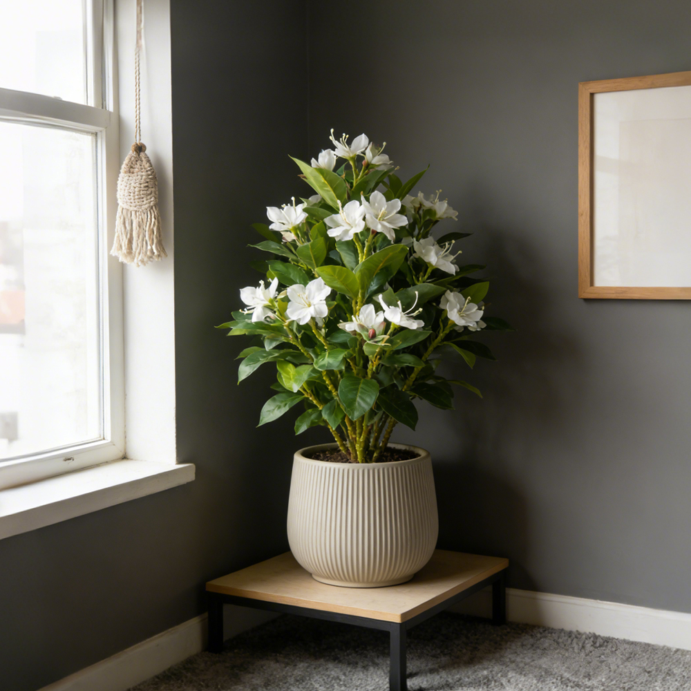 21-40cm Artificial Azalea Flow - Ficus Lyrata Tree avis et prix