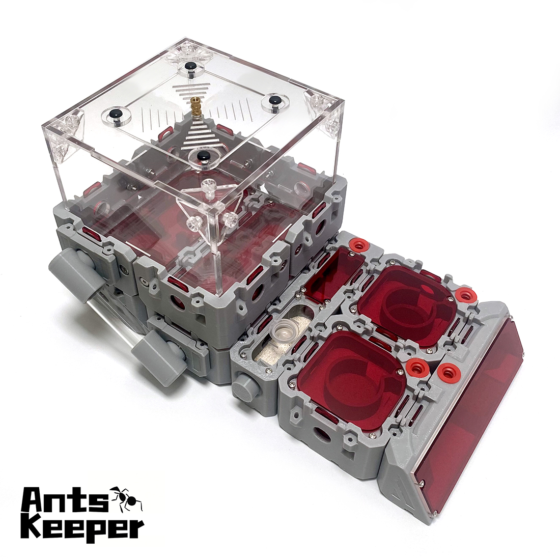【Lego】Expandable Modular Formi - Begonia Rex avis et prix