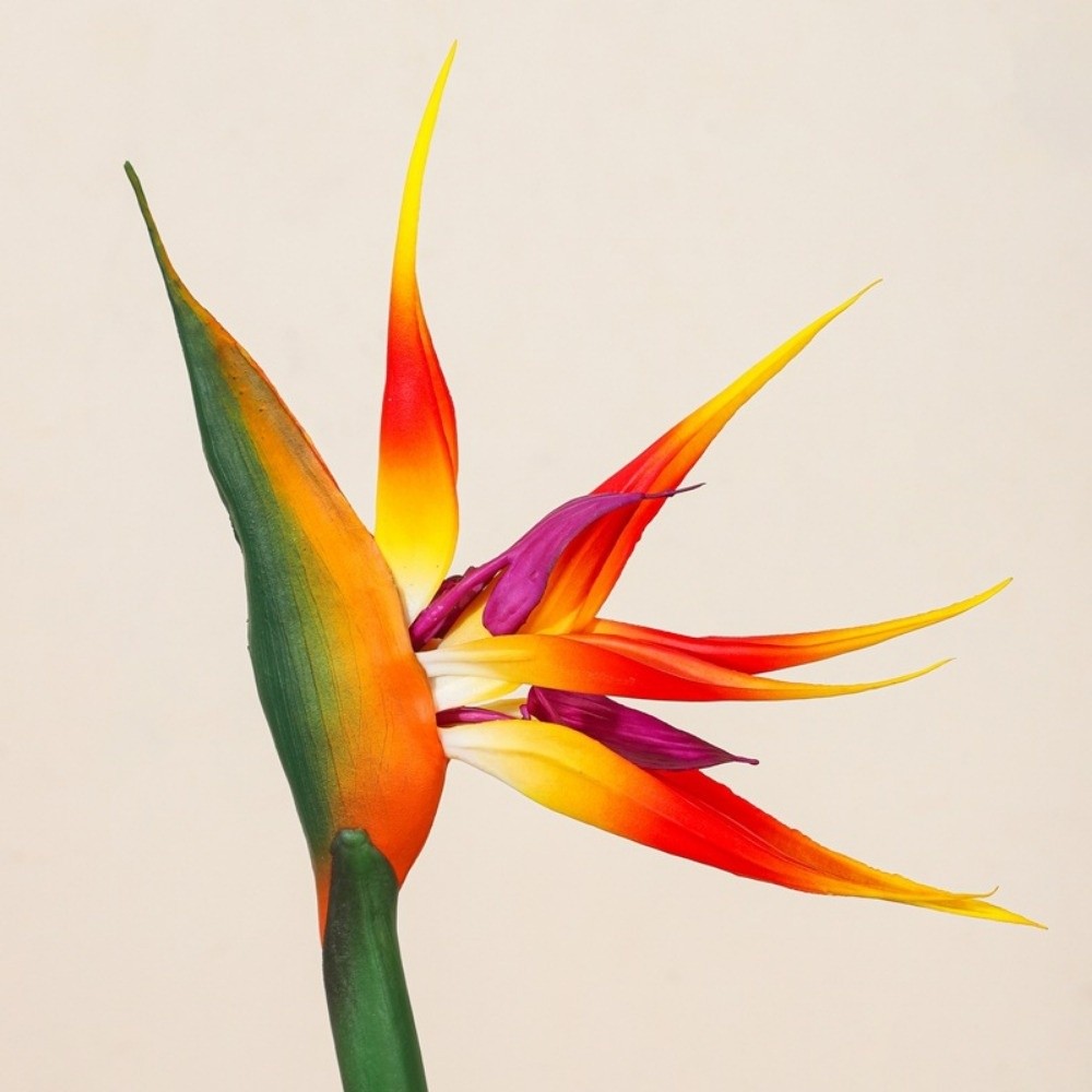 New Long Stem Artificial Bird  - Bird Paradise Strelitzia avis et prix