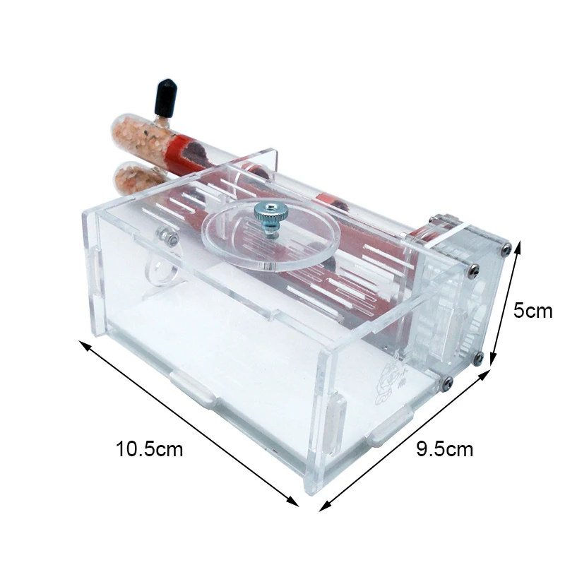DIY Ant Farm 2 pcs 18-180mm Gy - Begonia Rex avis et prix