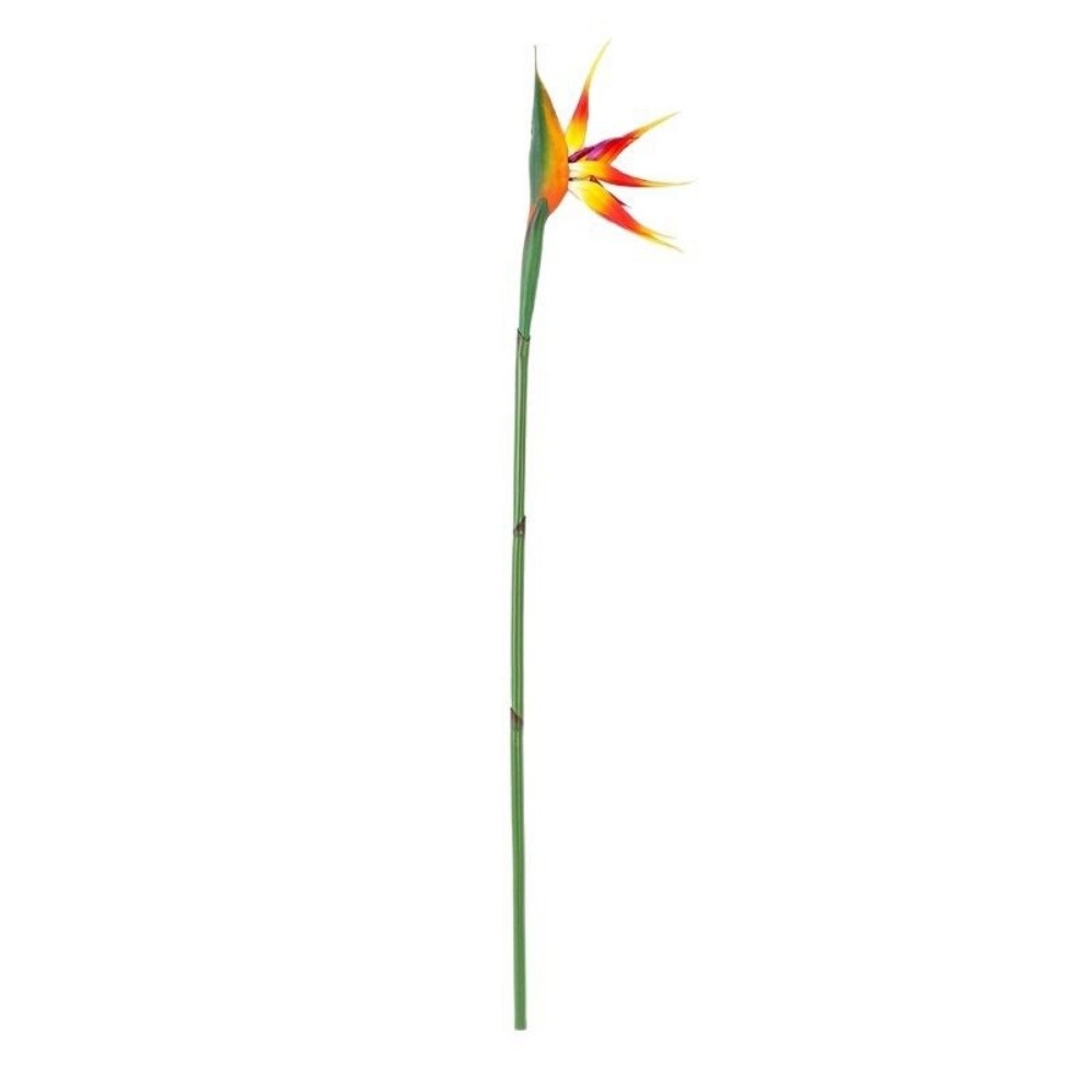 Long Stem Artificial Bird of P - Bird Paradise Strelitzia avis et prix