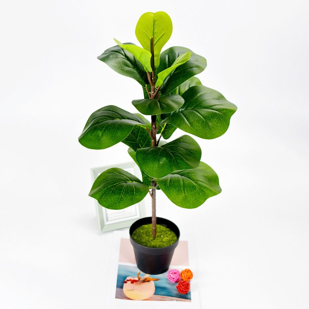 Large Artificial Fiddle Leaves - Ficus Lyrata Tree avis et prix
