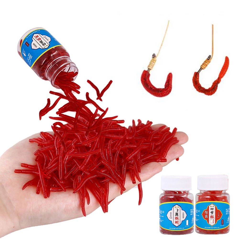 100pcs/Bottle Realistic Tackle - Aglaonema Red avis et prix