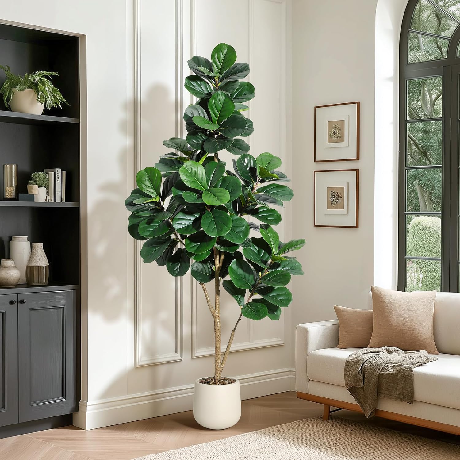 4-7 FT Fiddle Leaf Fig Tree Ar - Ficus Lyrata Tree avis et prix