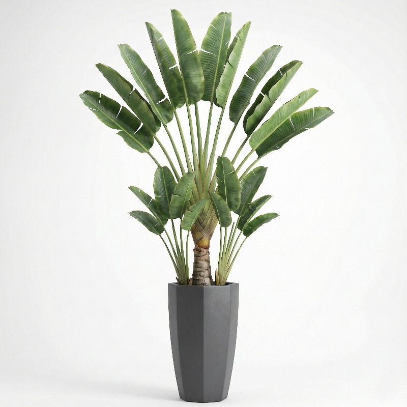 High-Simulation Plastic Fiddle - Ficus Lyrata Tree avis et prix