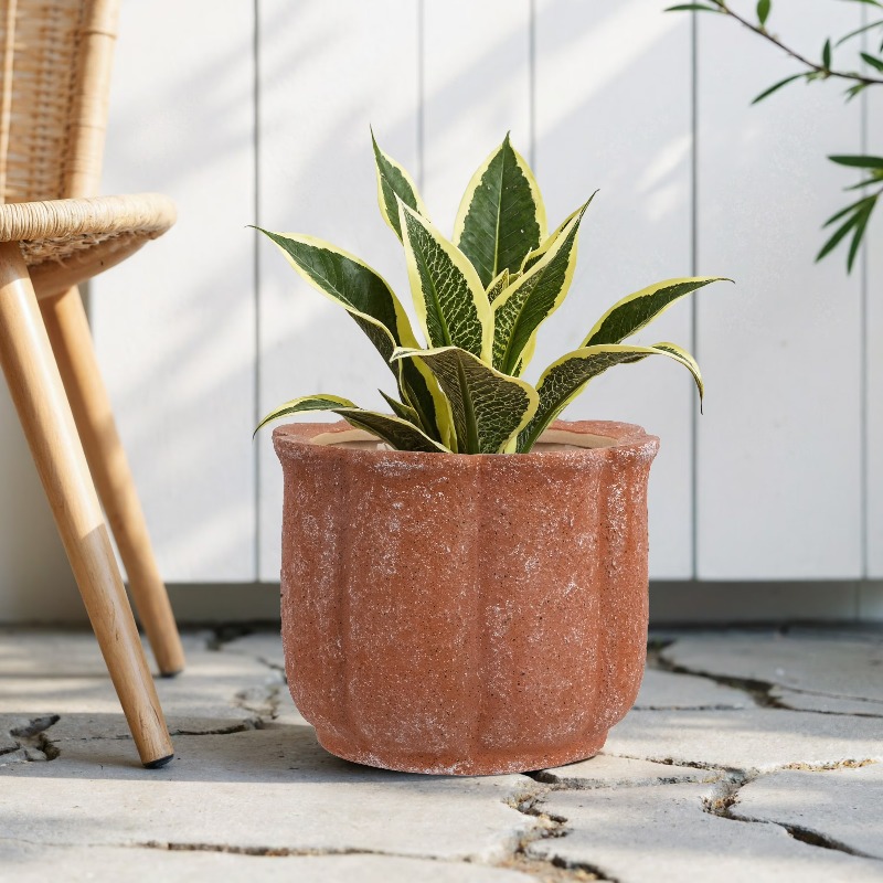 8in Terracotta Flower Planter  - Aloe Vera Pot avis et prix