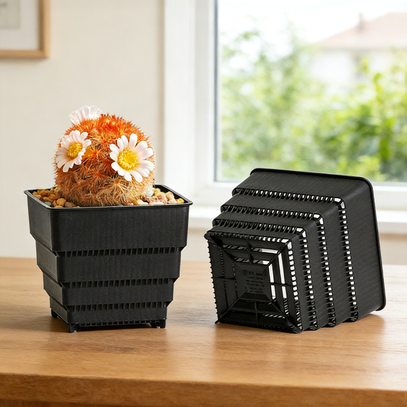 MESHPOT 6-Pack Square Pots for - Echeveria Succulent avis et prix
