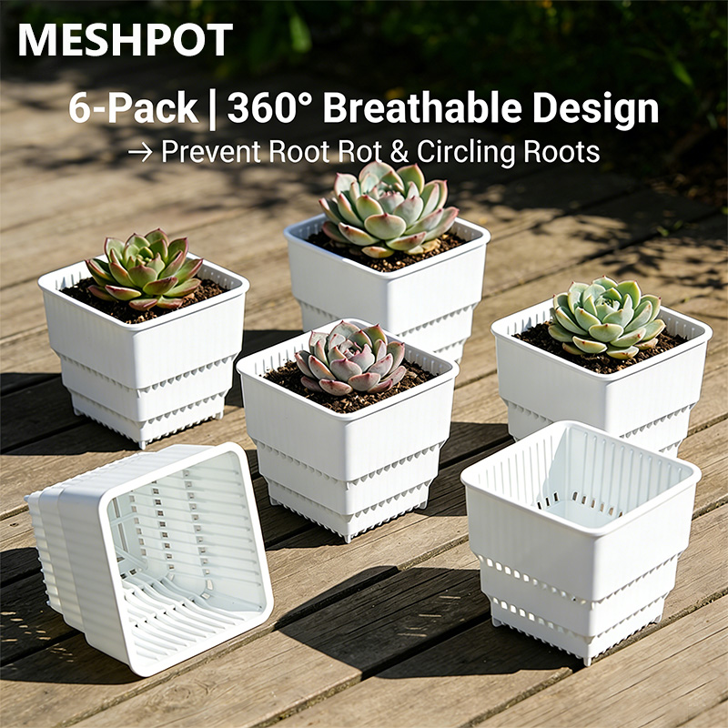 MESHPOT 6-Pack Square Pots for - Echeveria Succulent avis et prix