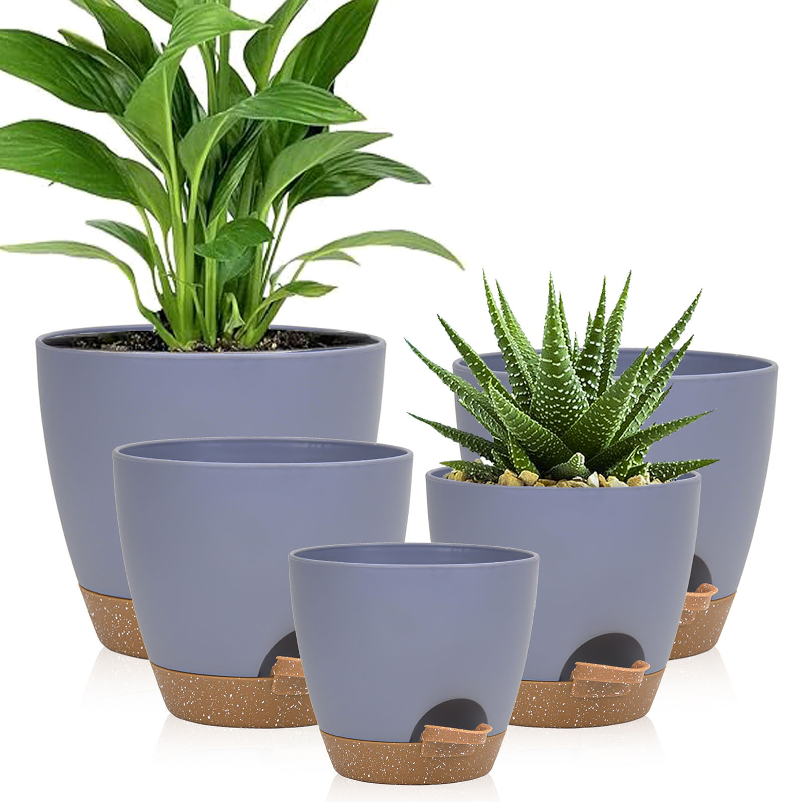 5piece Indoor Flower Pots With - Aloe Vera Pot avis et prix