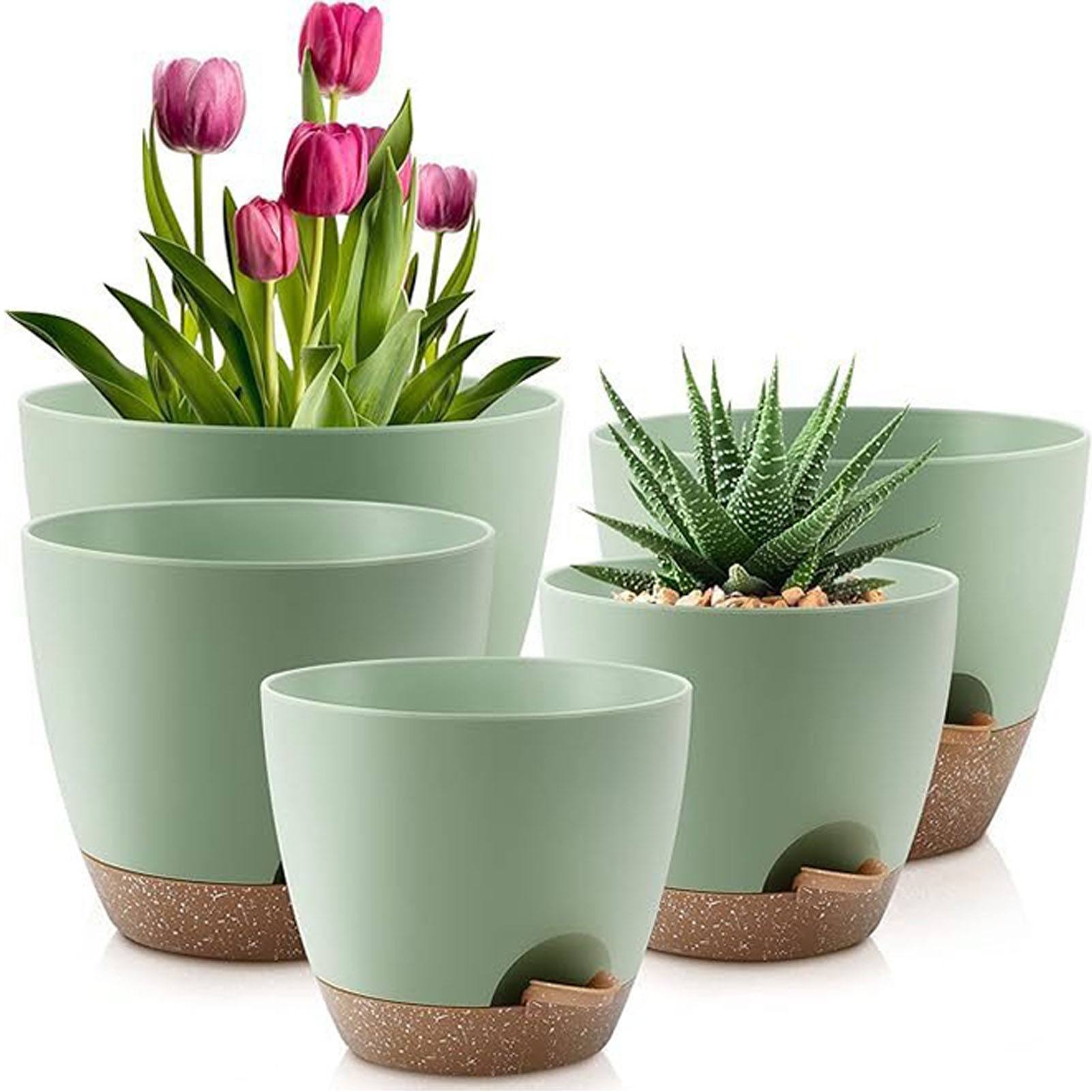 5piece Indoor Flower Pots With - Aloe Vera Pot avis et prix