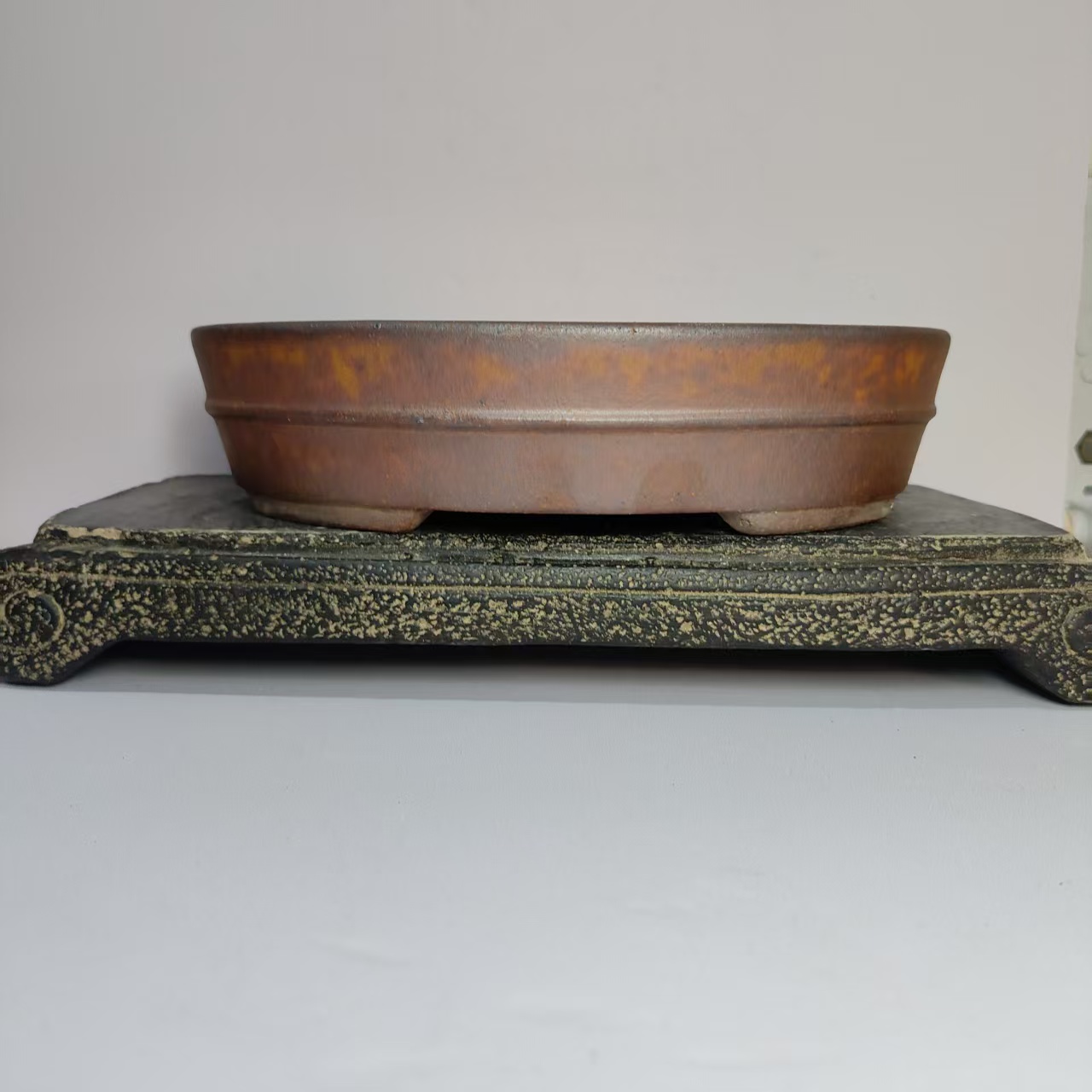 Hot sale Oval Shape Wood-fired - Pilea Peperomioides avis et prix