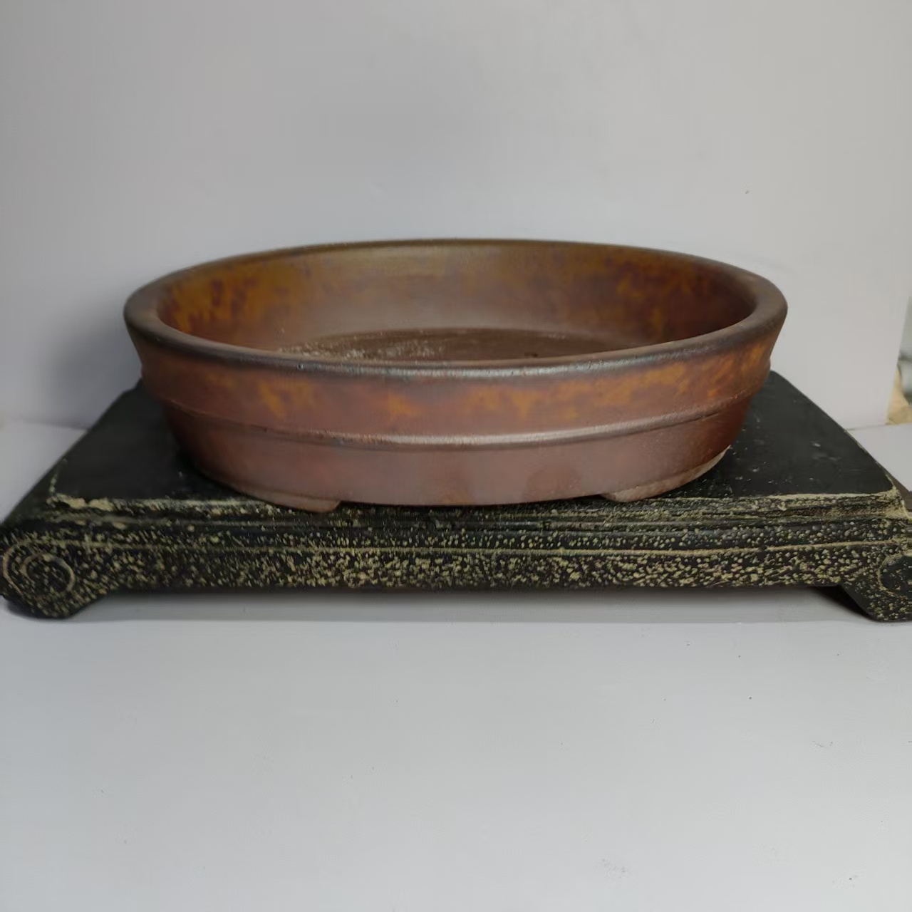 Hot sale Oval Shape Wood-fired - Pilea Peperomioides avis et prix