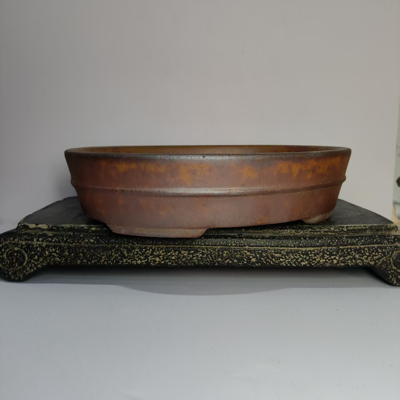 Hot sale Oval Shape Wood-fired - Pilea Peperomioides avis et prix