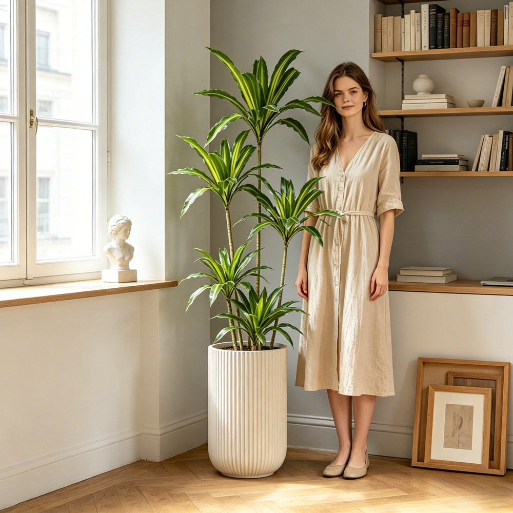 80-165cm Large Artifcial Draca - Dracaena Marginata avis et prix