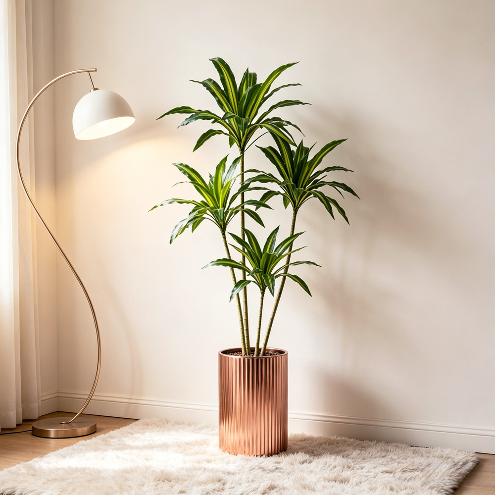 80-165cm Large Artifcial Draca - Dracaena Marginata avis et prix
