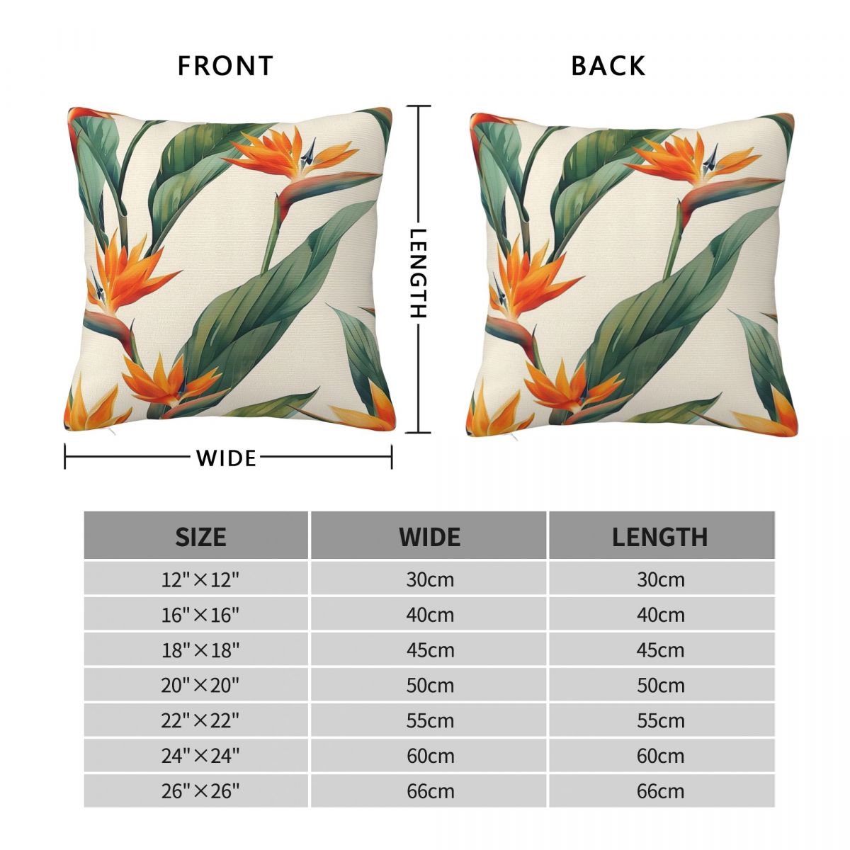 Bird Of Paradise Strelitzia Sq - Bird Paradise Strelitzia avis et prix