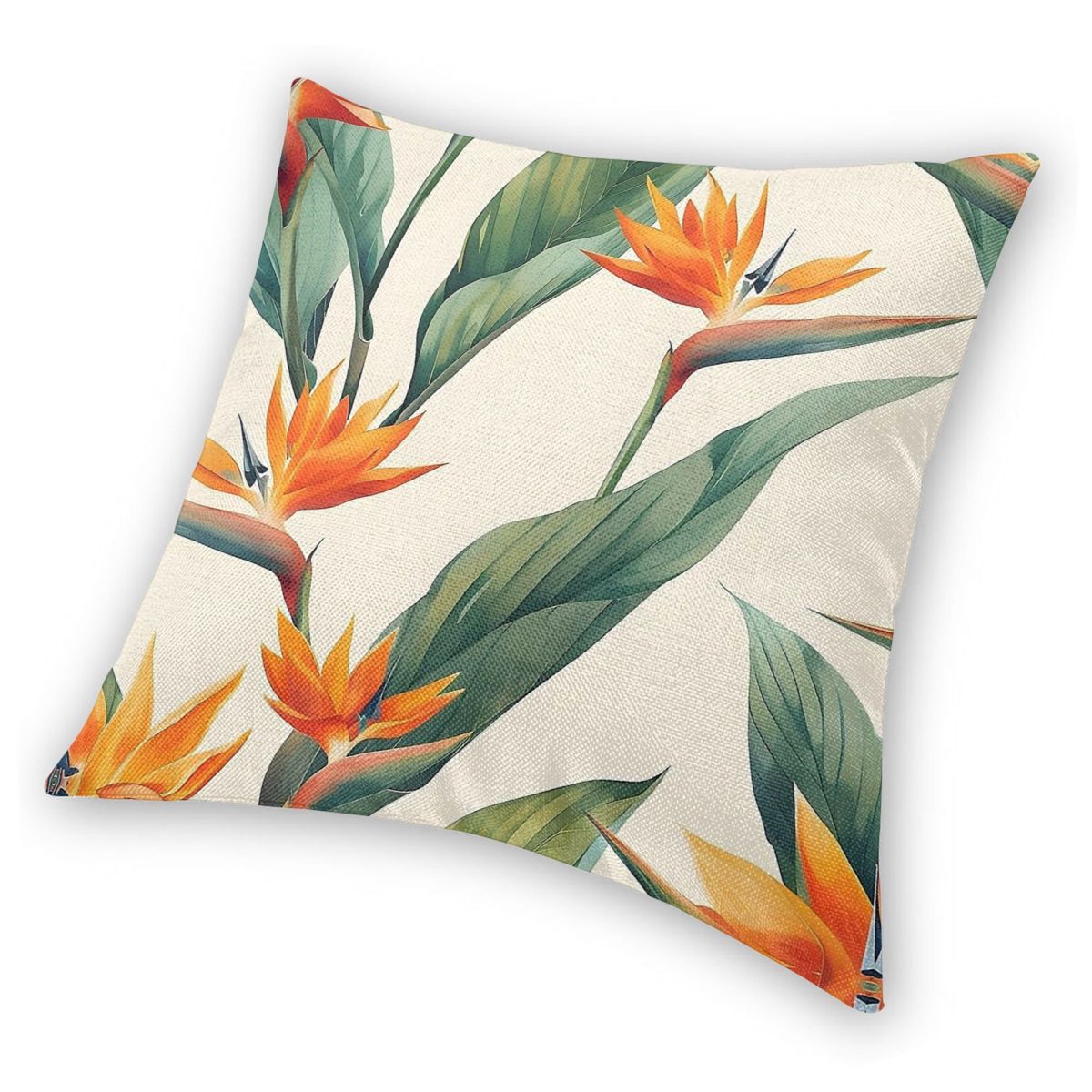Bird Of Paradise Strelitzia Sq - Bird Paradise Strelitzia avis et prix