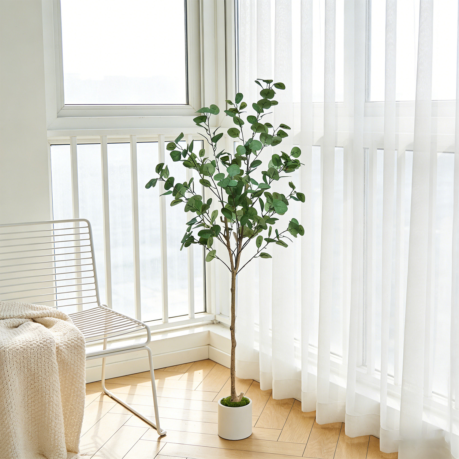 120-155Cm/5.1Ft Artificial Euc - Dracaena Marginata avis et prix