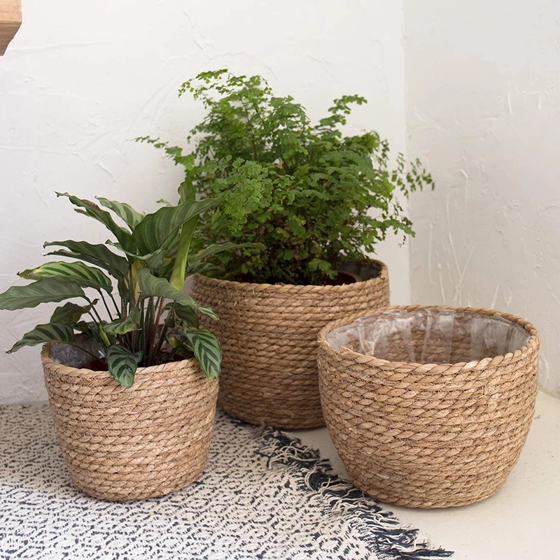 Straw Weaving Flower Plant Pot - Aloe Vera Pot avis et prix
