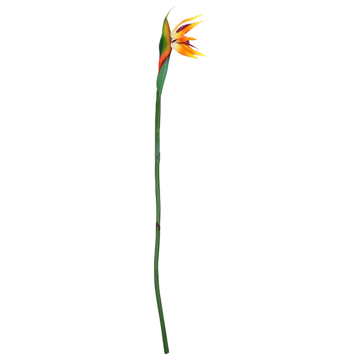 Artificial Strelitzia Flower R - Bird Paradise Strelitzia avis et prix