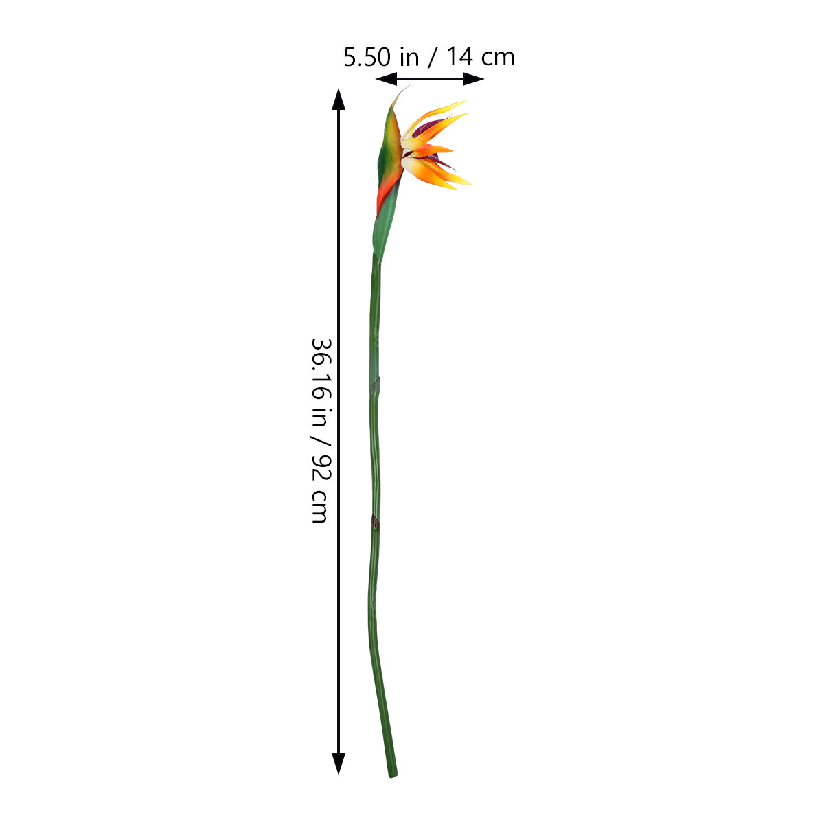 Artificial Strelitzia Flower R - Bird Paradise Strelitzia avis et prix