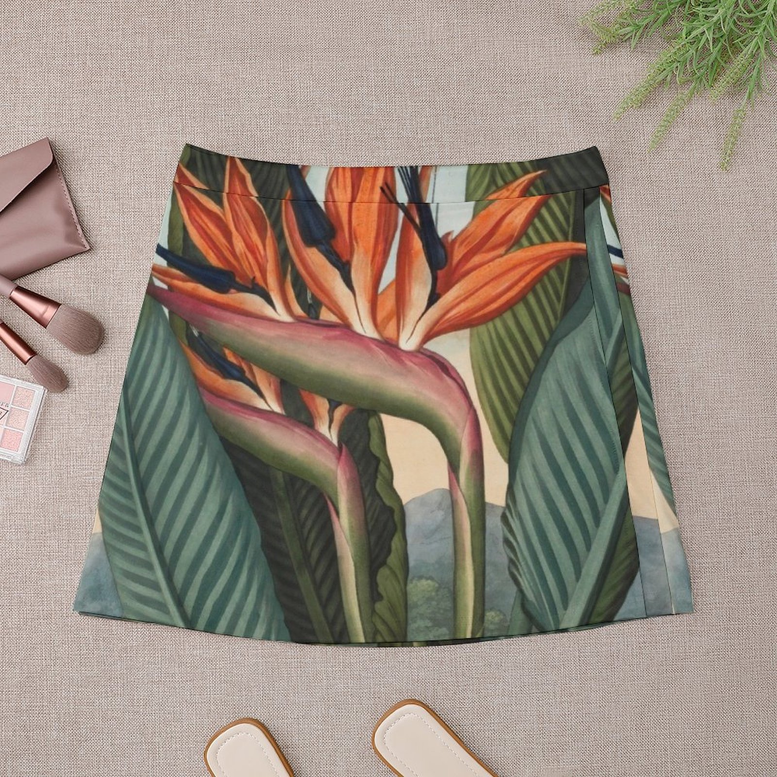Botanical illustration: Bird o - Bird Paradise Strelitzia avis et prix