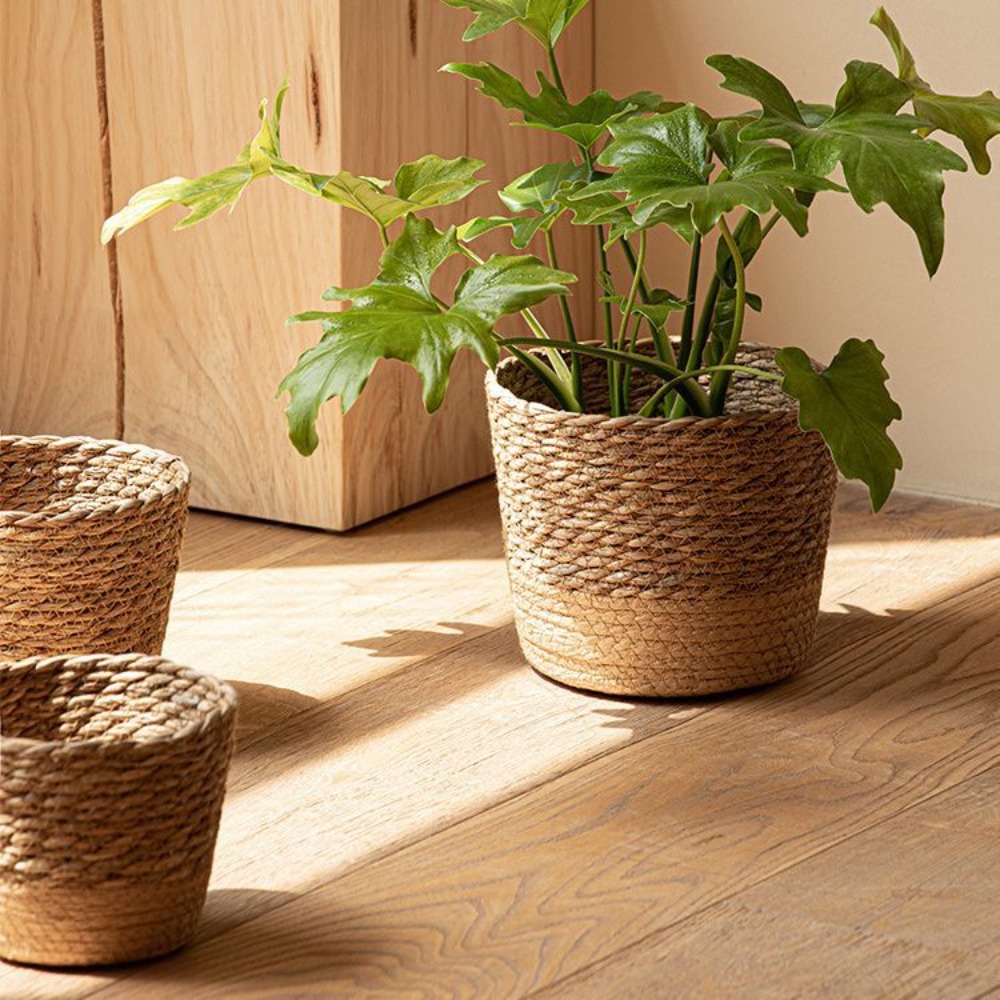Straw Weaving Flower Plant Pot - Aloe Vera Pot avis et prix