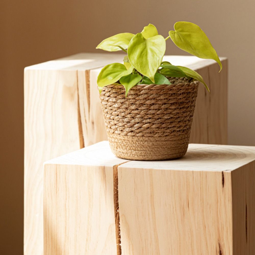 Straw Weaving Flower Plant Pot - Aloe Vera Pot avis et prix