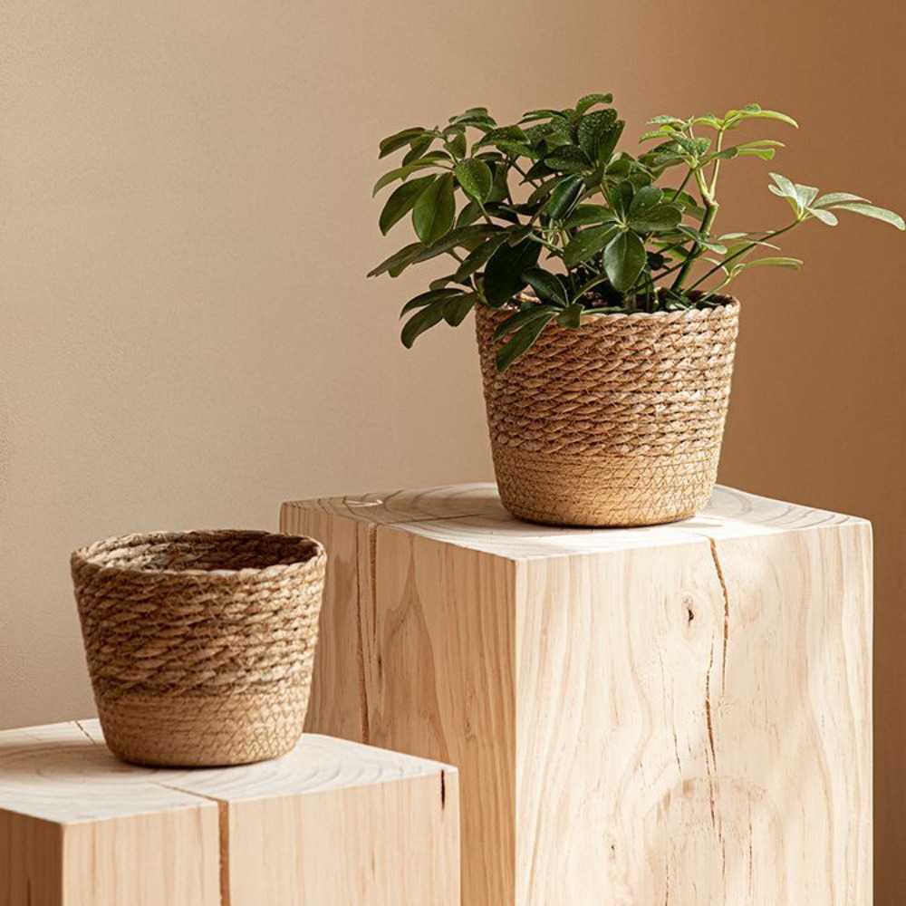 Straw Weaving Flower Plant Pot - Aloe Vera Pot avis et prix